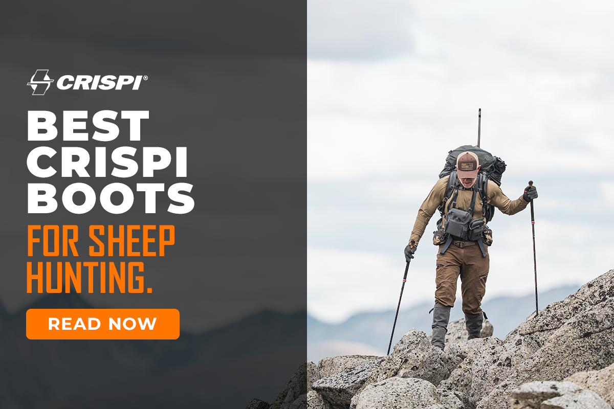 Best Crispi Boots for Sheep Hunting: The Ultimate Guide for Mountain Hunters