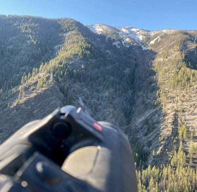 Early Season Spring Bear Hunting Strategies