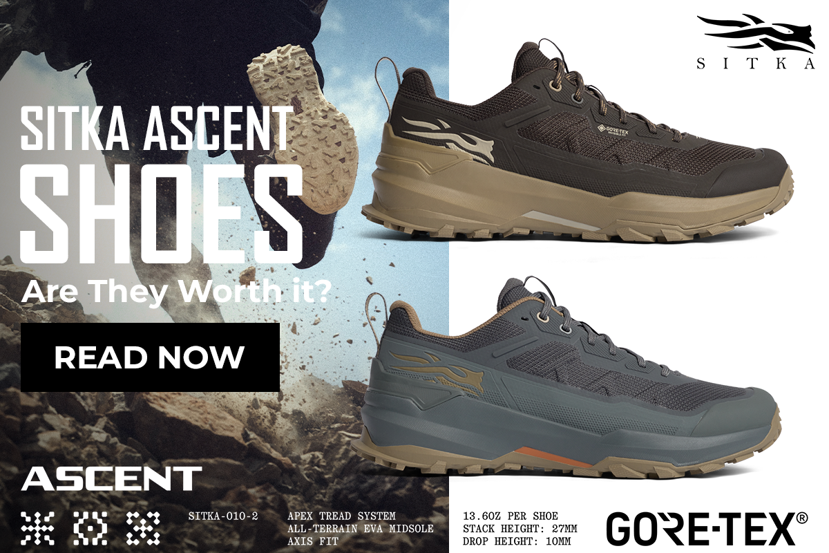 SITKA Ascent Shoes: Are They Worth It?