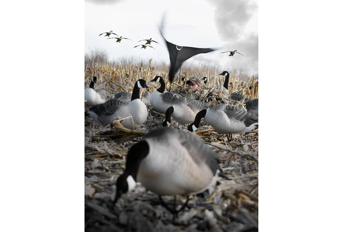 Hypnotizer Goose Flag - 1 Shot Gear