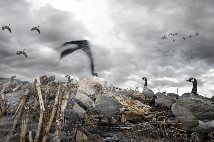 Hypnotizer Goose Flag - 1 Shot Gear