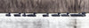 Mainline Series Blackouts - 1 Shot Gear