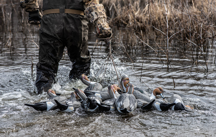 Mainline Series Pintail - 1 Shot Gear