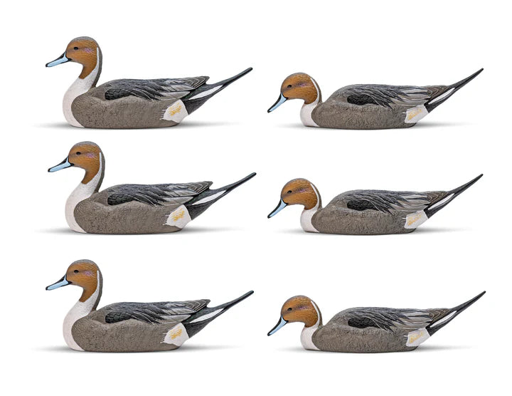 Mainline Series Pintail - 1 Shot Gear