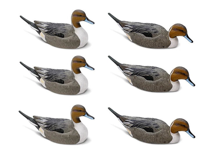 Mainline Series Pintail - 1 Shot Gear