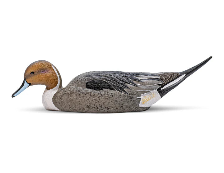 Mainline Series Pintail - 1 Shot Gear