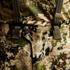 Sitka Timberline Pant 2025