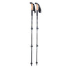 PEAX Backcountry ELITE Cork Trekking Poles - 1 Shot Gear