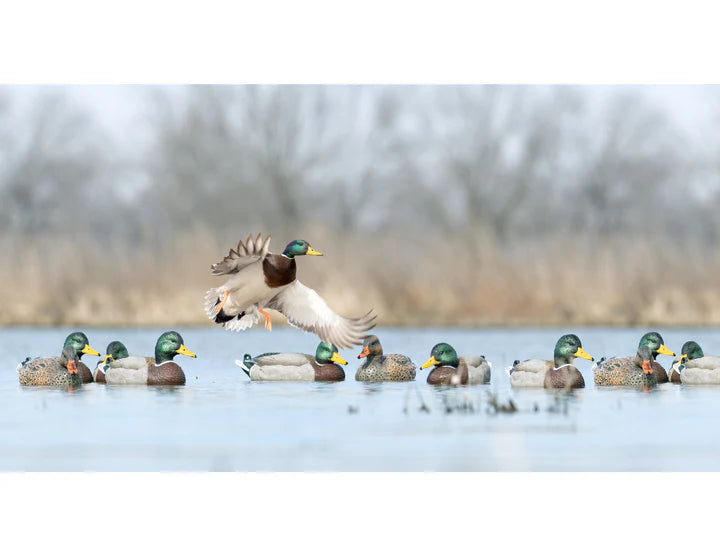 Mainline Series Mallard - 1 Shot Gear