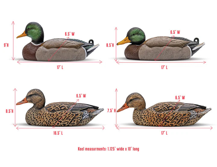 Mainline Series Mallard - 1 Shot Gear