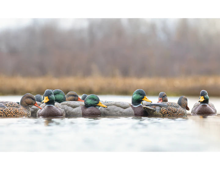 Mainline Series Mallard - 1 Shot Gear