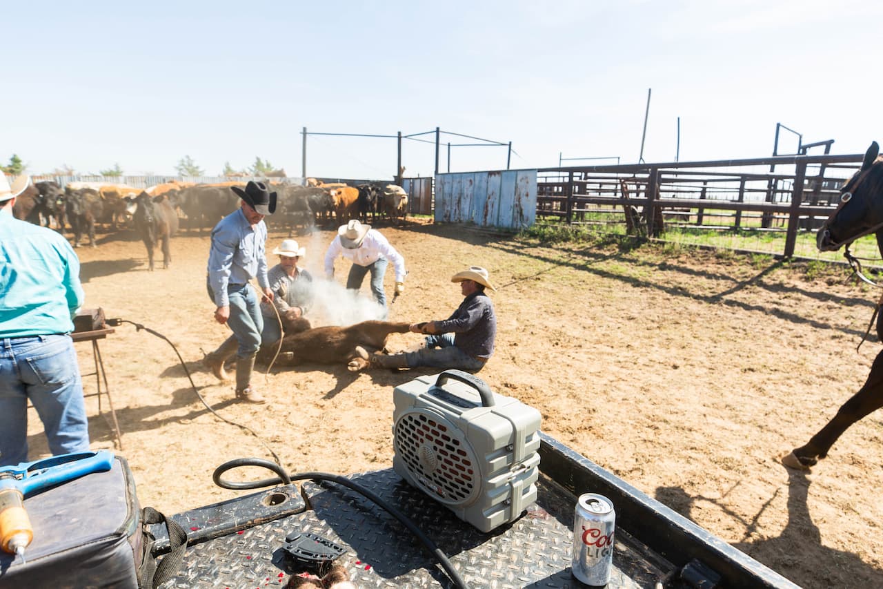 Turtlebox Gen 2 Speaker - 1 Shot Gear