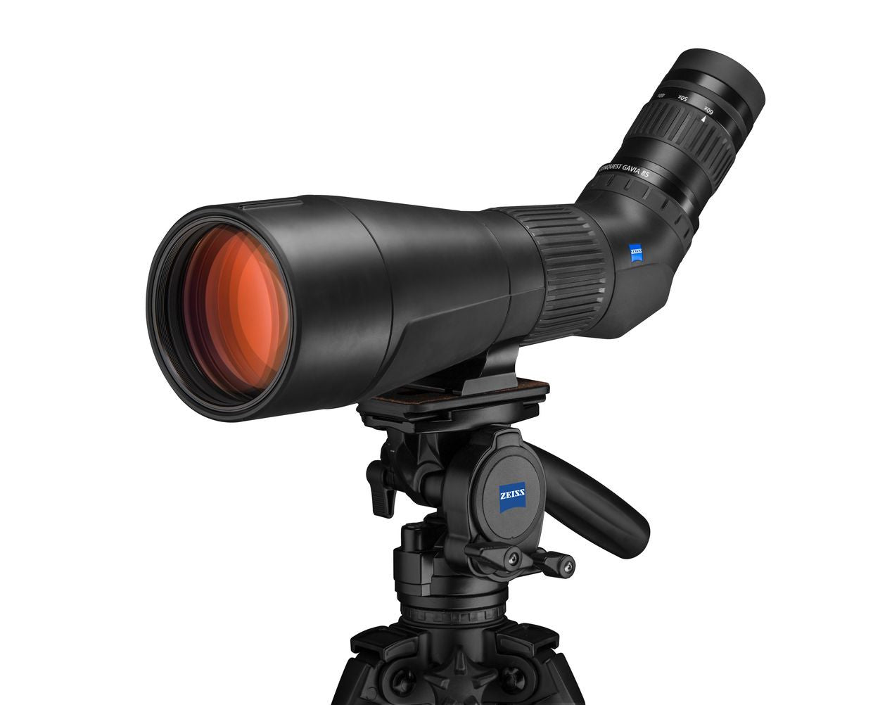 ZEISS CONQUEST Gavia 85 Spotting Scope with 30-60x Eyepiece