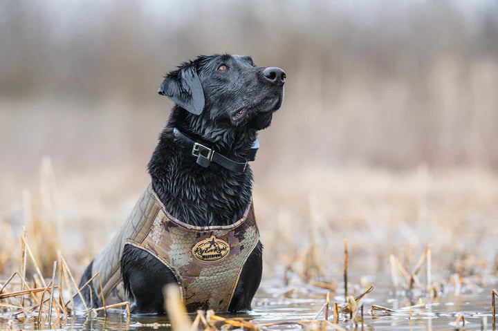 Insulated dog hunting vest outlet