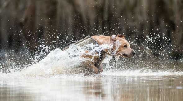 Bloodline Dog Vest - 1 Shot Gear