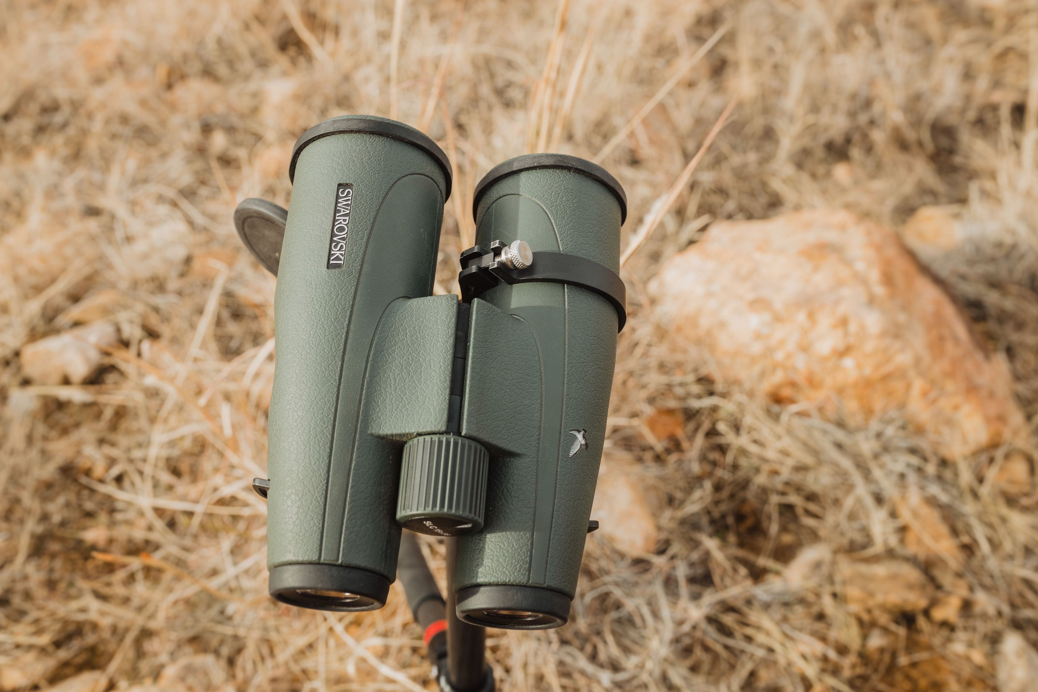 Swarovski best sale binocular mount