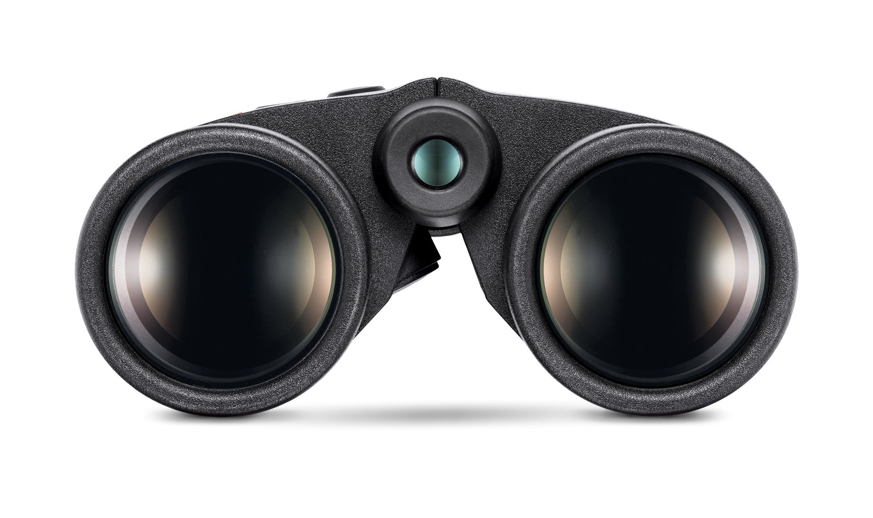 Geovid R 10x42 - 1 Shot Gear