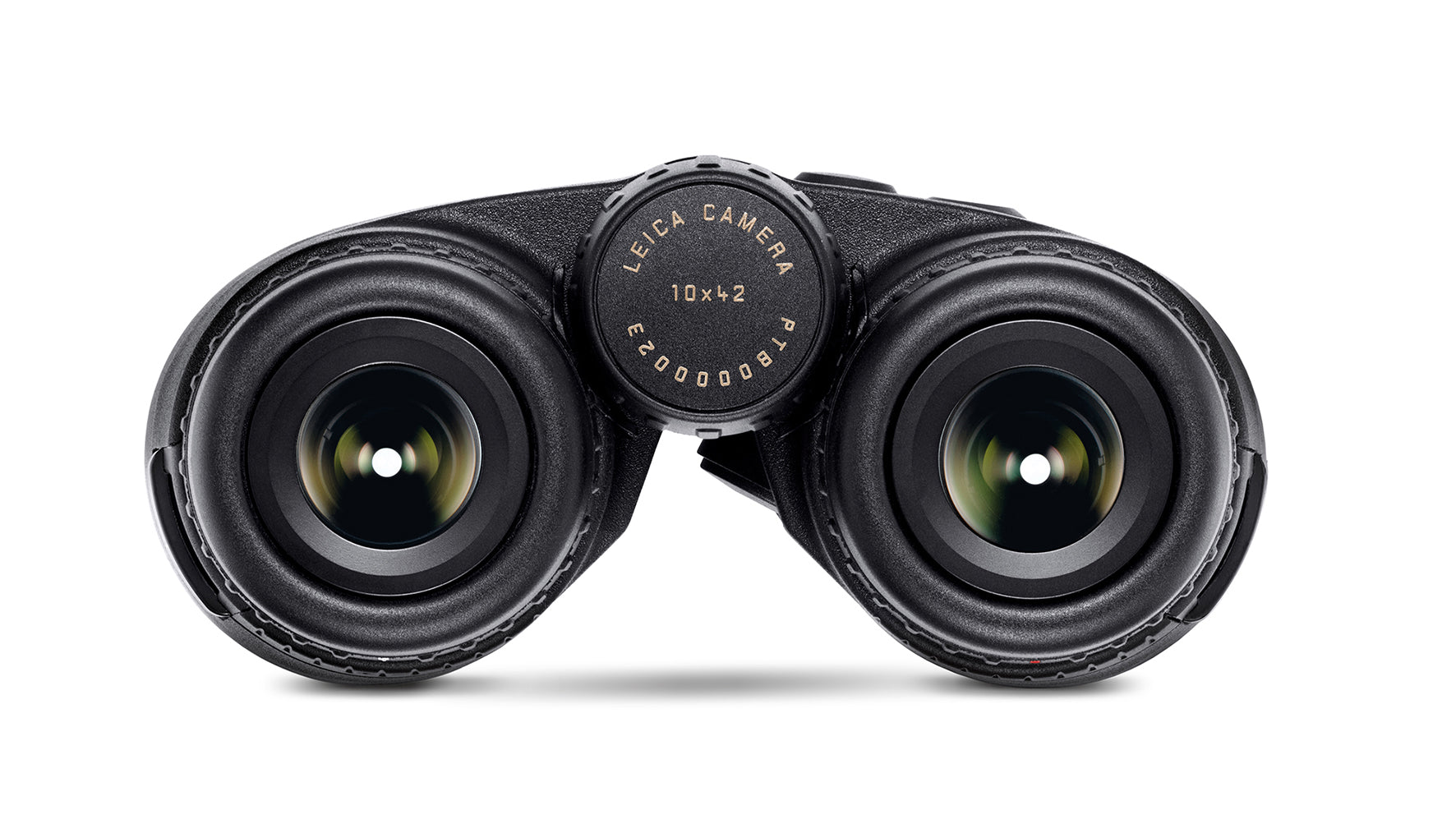 Geovid R 10x42 - 1 Shot Gear
