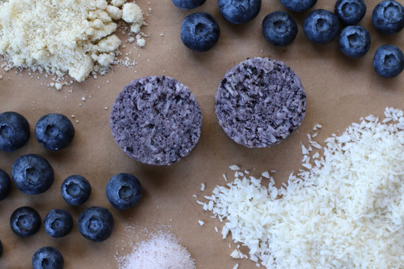 Packaroons - Blueberry Almond - 1 Shot Gear