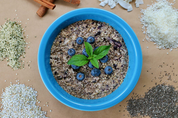 Hot Cereal Breakfast - Blueberry Cinnamon - 1 Shot Gear