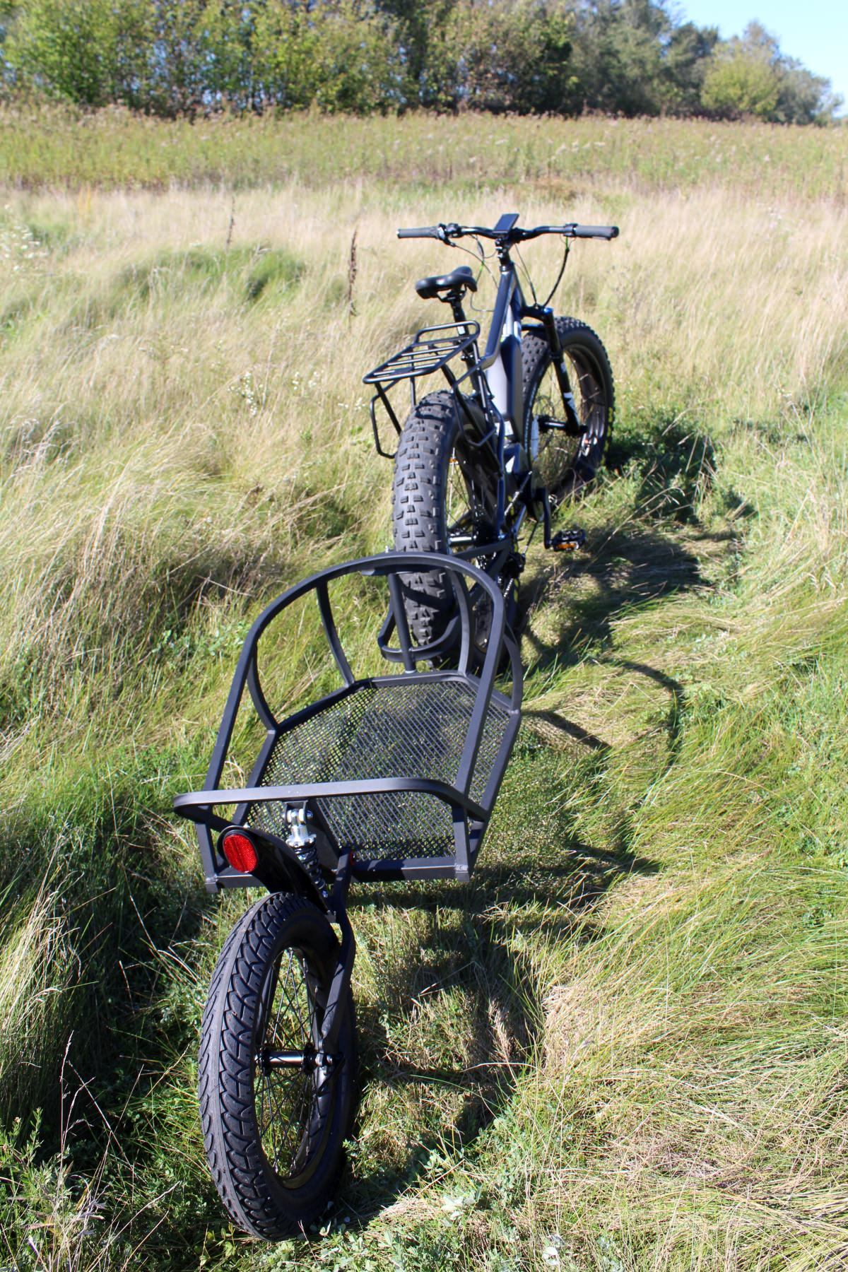 Bike trailer rebel online