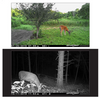 Spypoint LinkMicro S LTE V Cellular Trail Camera - Verison - 1 Shot Gear