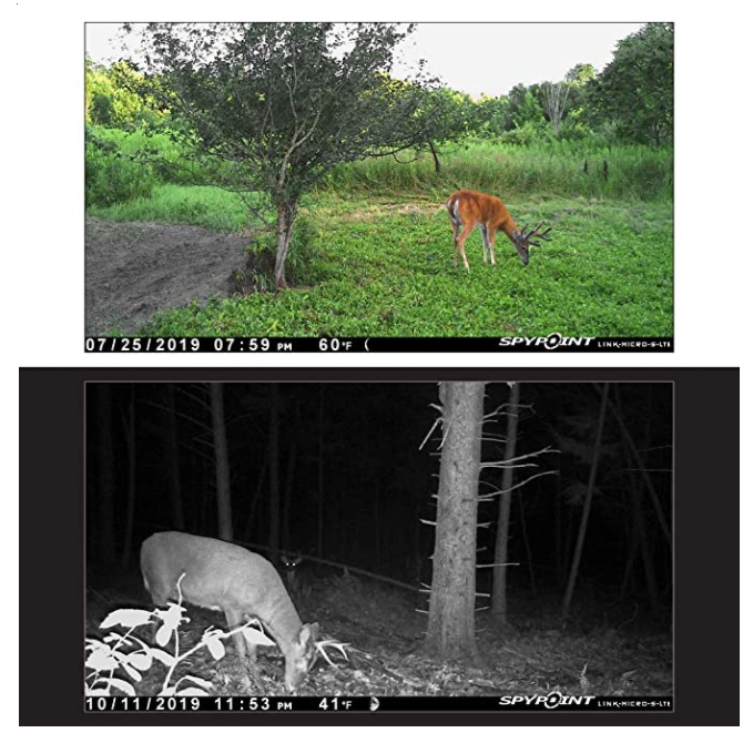 LinkMicro S LTE V Cellular Trail Camera Verison Shot Gear