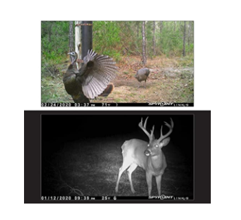 Spypoint LinkDarkV Cellular Trail Camera - Verison - 1 Shot Gear